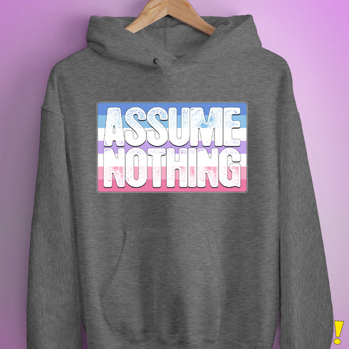 Assume Nothing Bigender Pride Flag Hoodie - Grey Heather